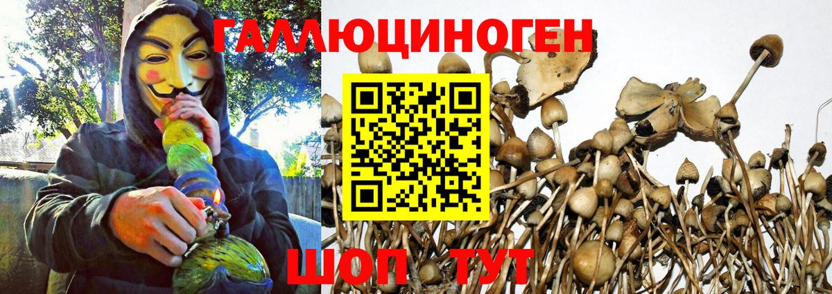 Галлюциногенные грибы Psilocybine cubensis  Вход с VPN  Удомля 